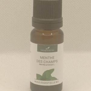 Menta del campo