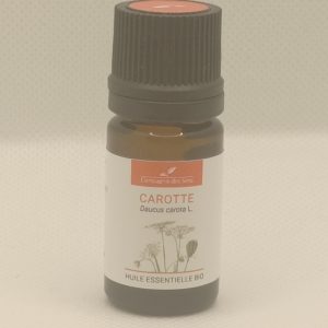 Semillas de zanahoria