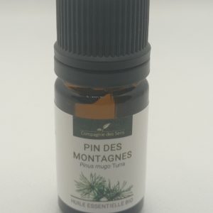 Pino de montaña