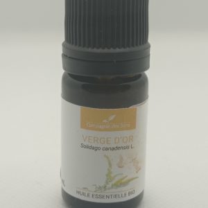 Vara de oro del canadá